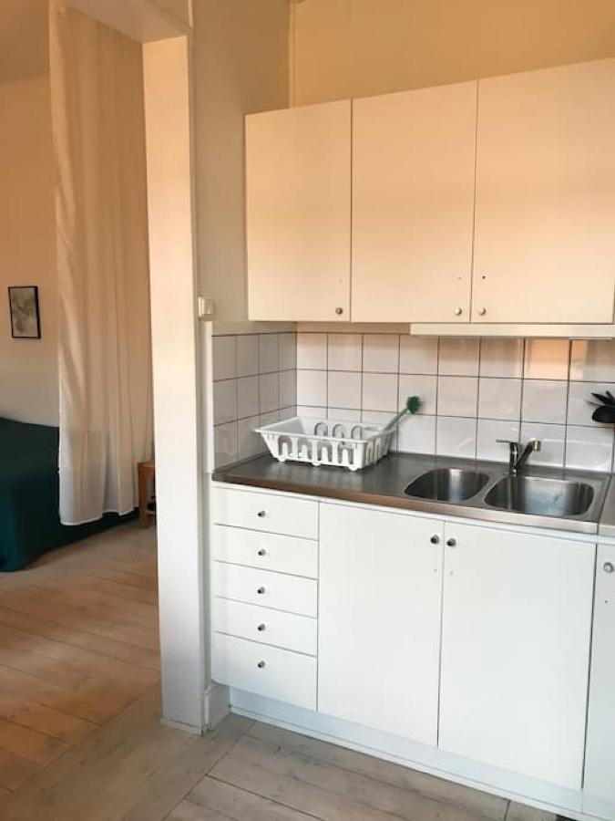 Bohemian And Light One Room Apartment In Sofo 31Sqm Stokholm Dış mekan fotoğraf